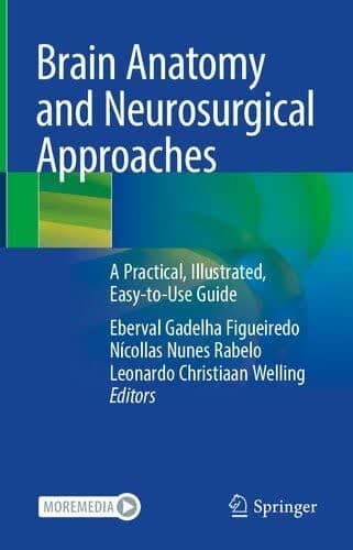 Brain Anatomy and Neurosurgical Approaches – آناتومی مغز و رویکرد های جراحی مغز و اعصاب — تصویر ۲