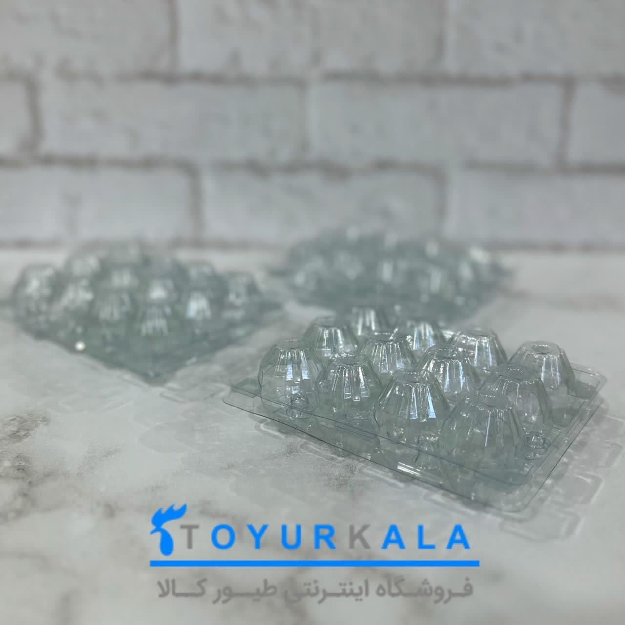 پک 400 تایی 12 خانه ای بسته بندی تخم بلدرچین — تصویر ۷