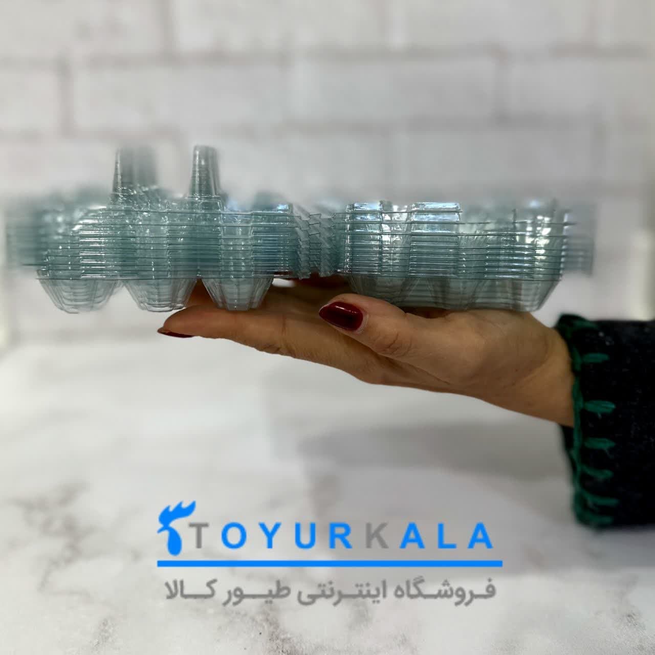 پک 400 تایی 12 خانه ای بسته بندی تخم بلدرچین — تصویر ۵