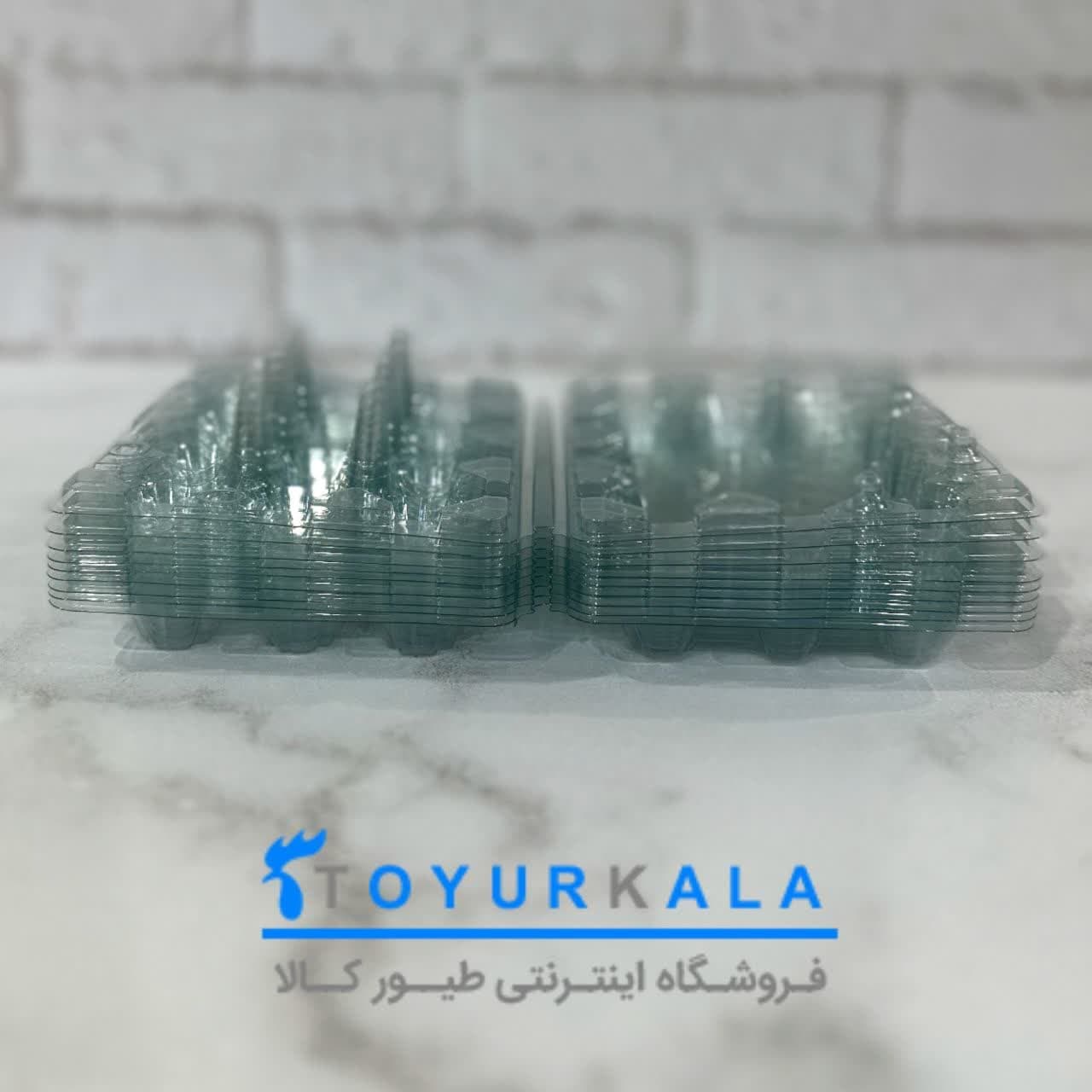 پک 400 تایی 12 خانه ای بسته بندی تخم بلدرچین — تصویر ۶