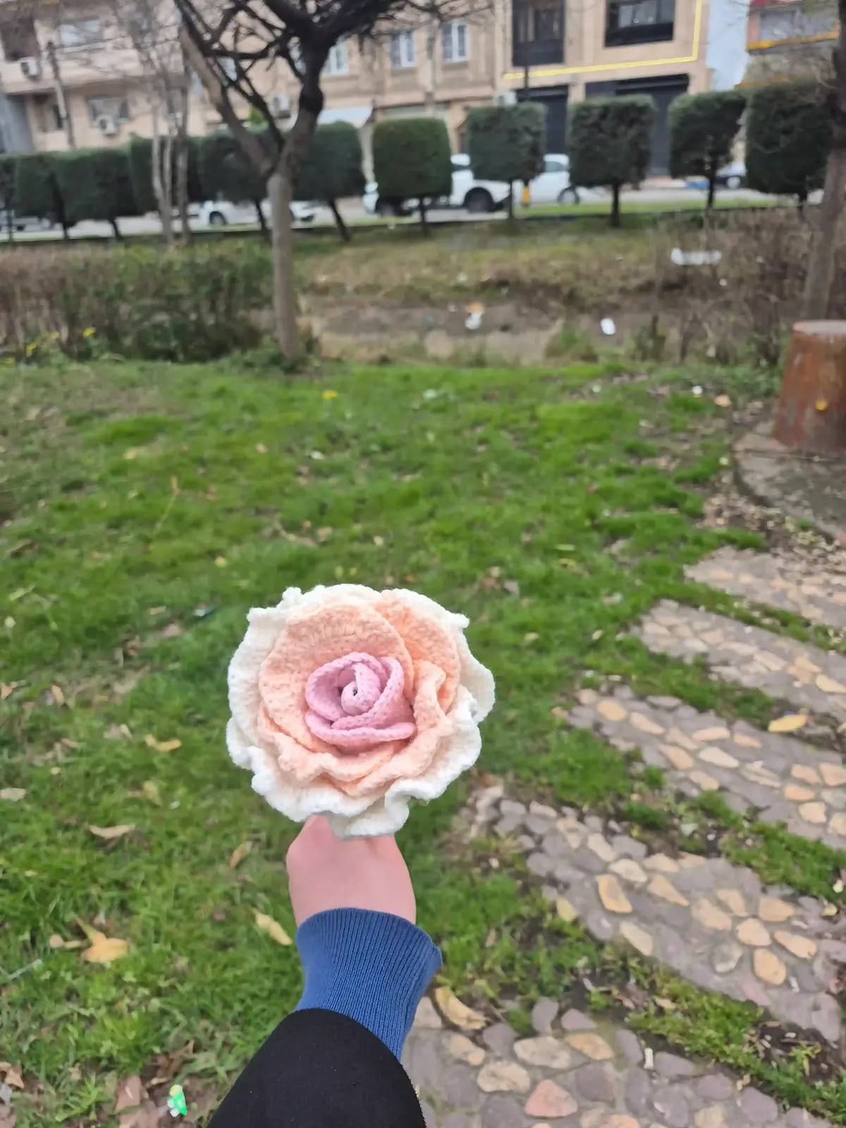 گل بافتنی رز — تصویر ۳