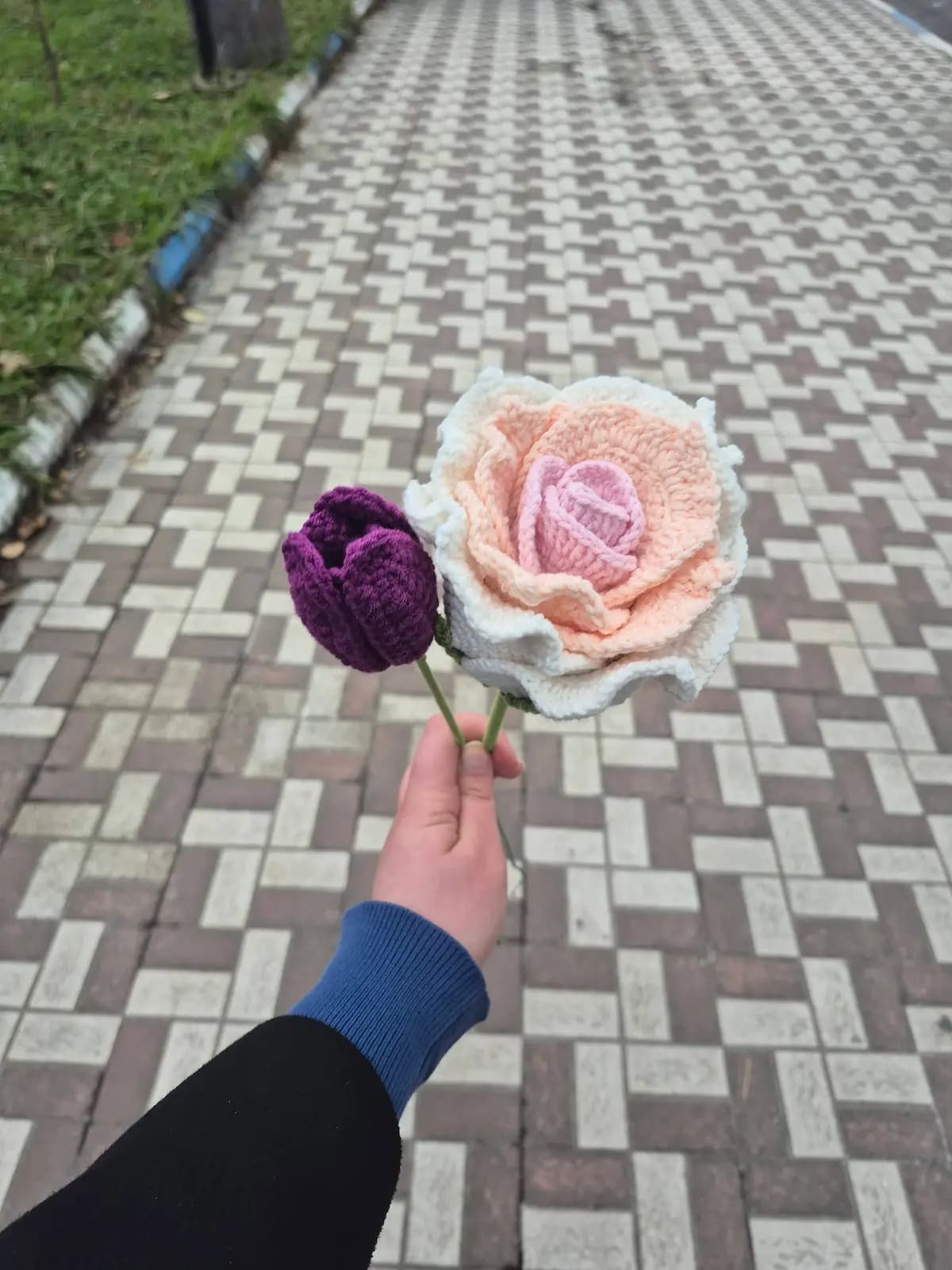 گل بافتنی رز — تصویر ۲