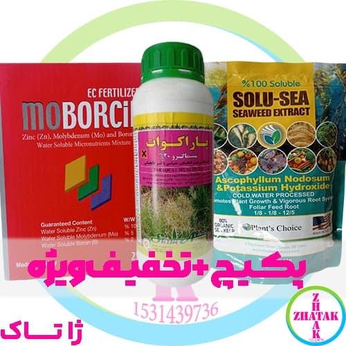پکیچ جلبک سولو سی + موبورسین + پاراکوات شیماگرو — تصویر ۵