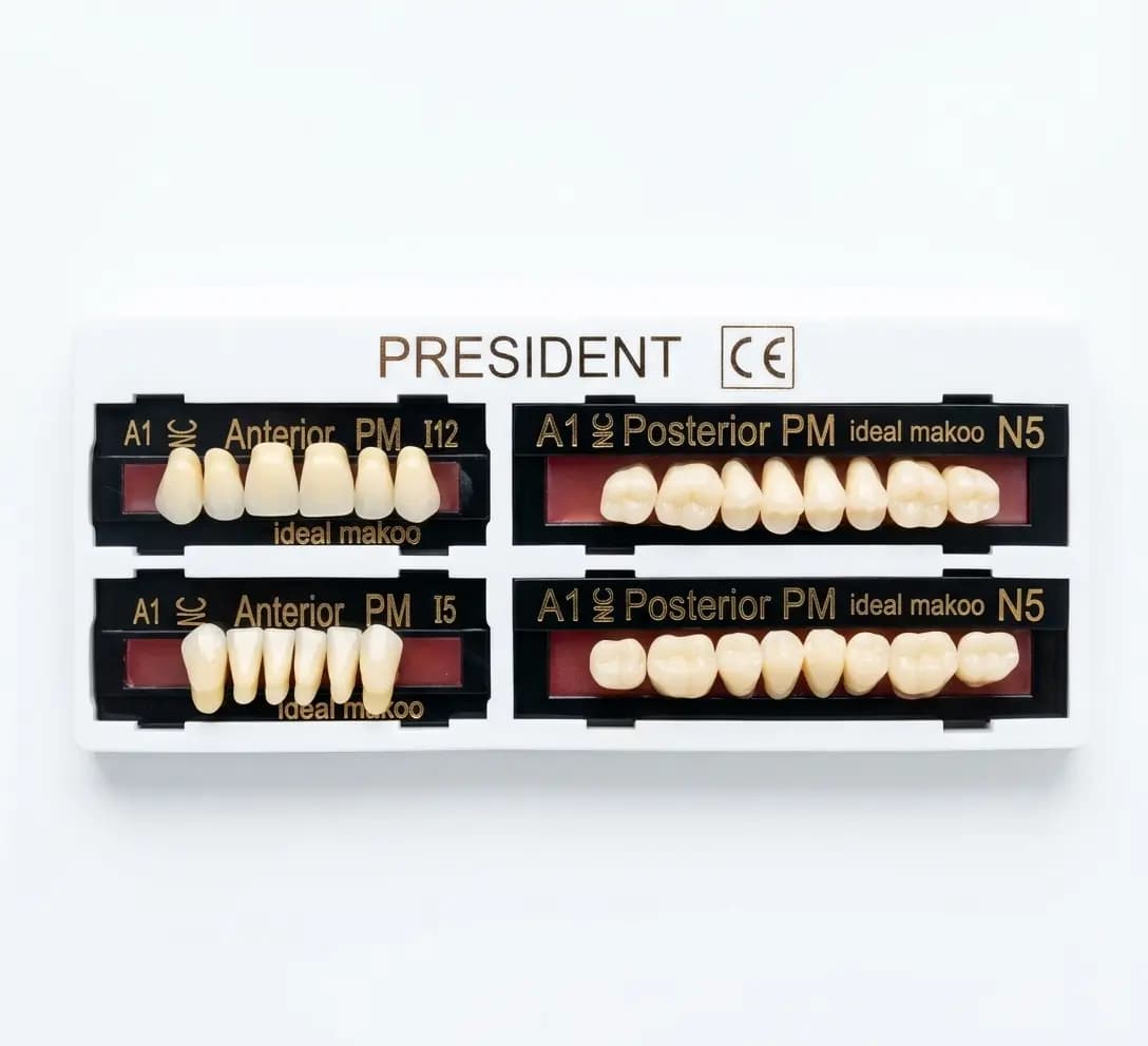 دندان مصنوعی President