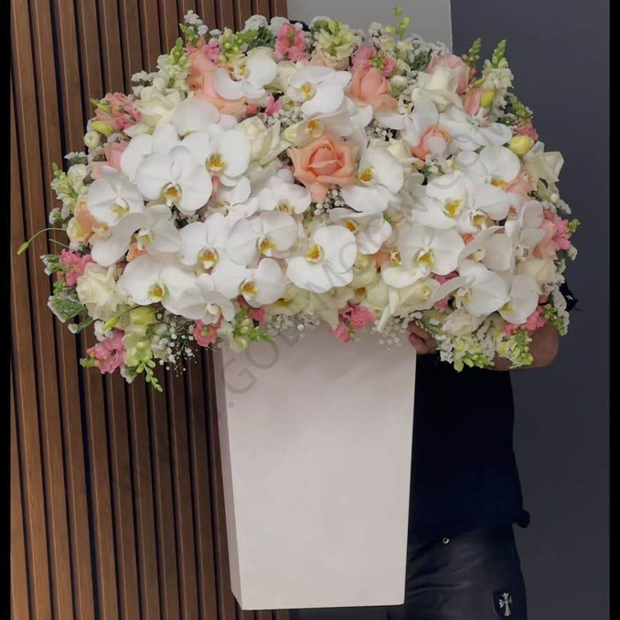 باکس گل گلرخ — تصویر ۱۰