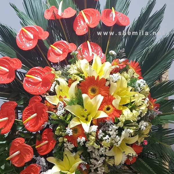 تاج گل افتتاحیه و نمایشگاه دیاکو — تصویر ۵
