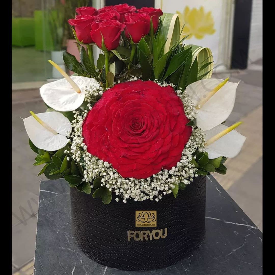 باکس گل سوین — تصویر ۸