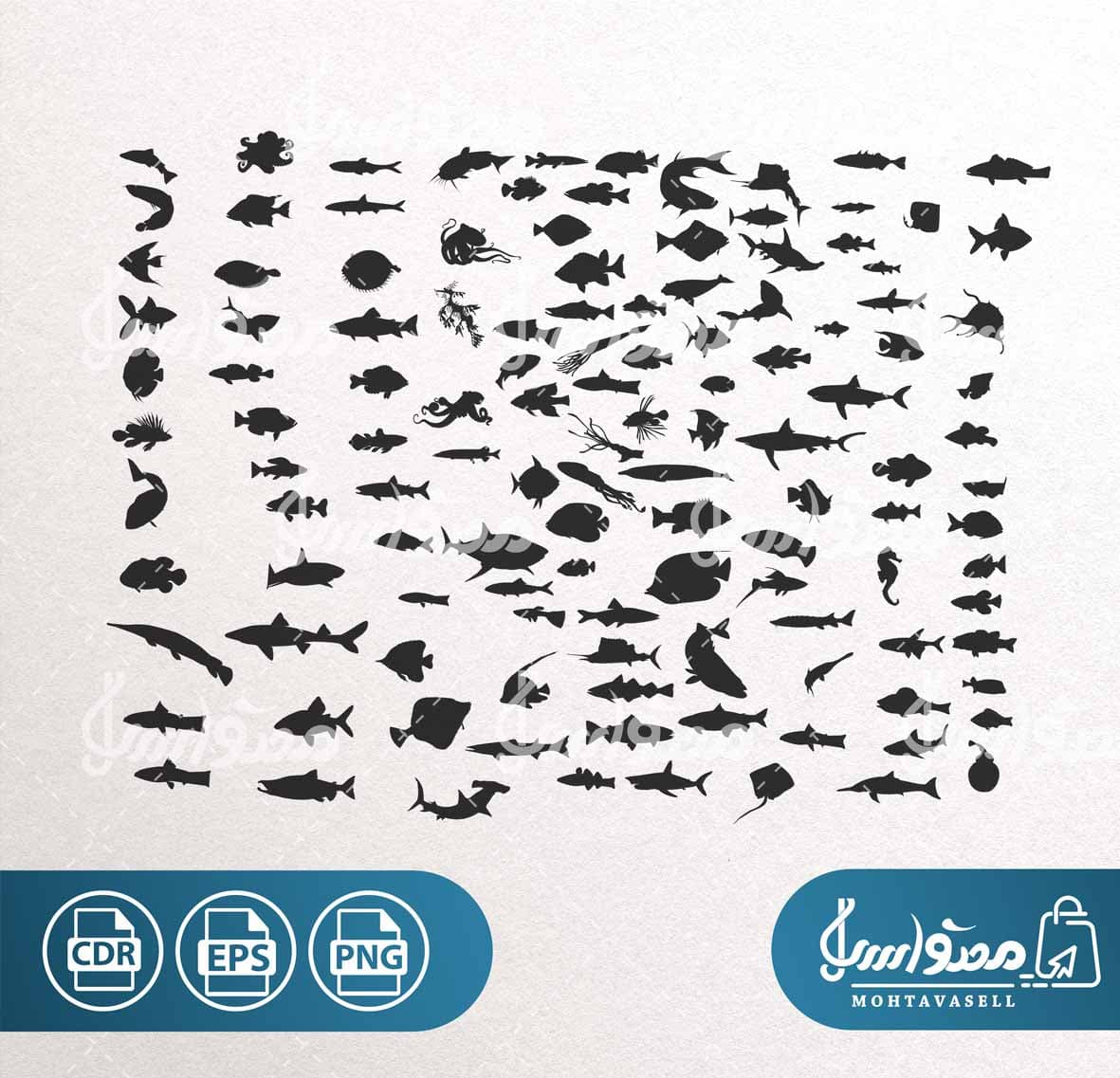 طرح وکتور مجموعه ماهی و آبزیان