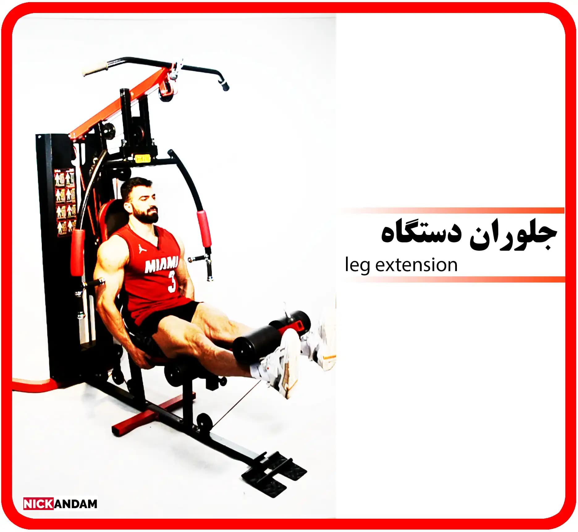 هوم جیم He-750 زرد — تصویر ۳