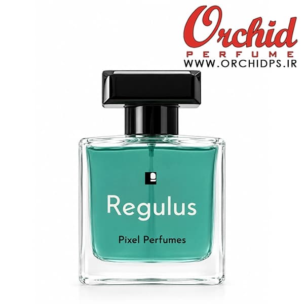 PIXEL Regulus — تصویر ۳