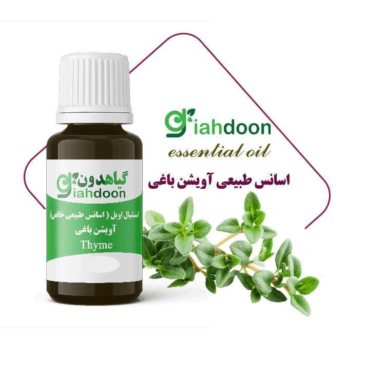 اسنشیال اویل آویشن باغی | اسانس طبیعی آویشن باغی — تصویر ۲
