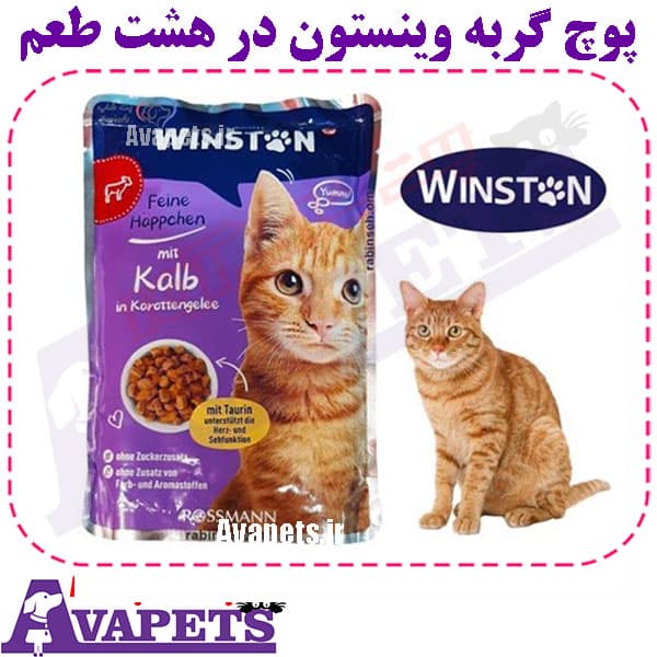 پوچ گربه وینستون در هشت طعم