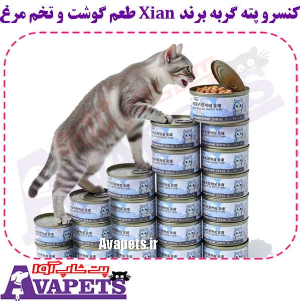کنسرو پته گربه برند Xian طعم گوشت و تخم مرغ