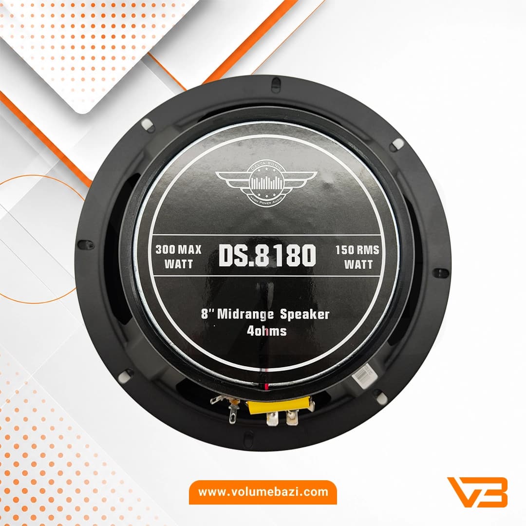فول رنج دلتاسونیک مدل DS.8180 سایز 8 اینچ – دو عددی — تصویر ۷