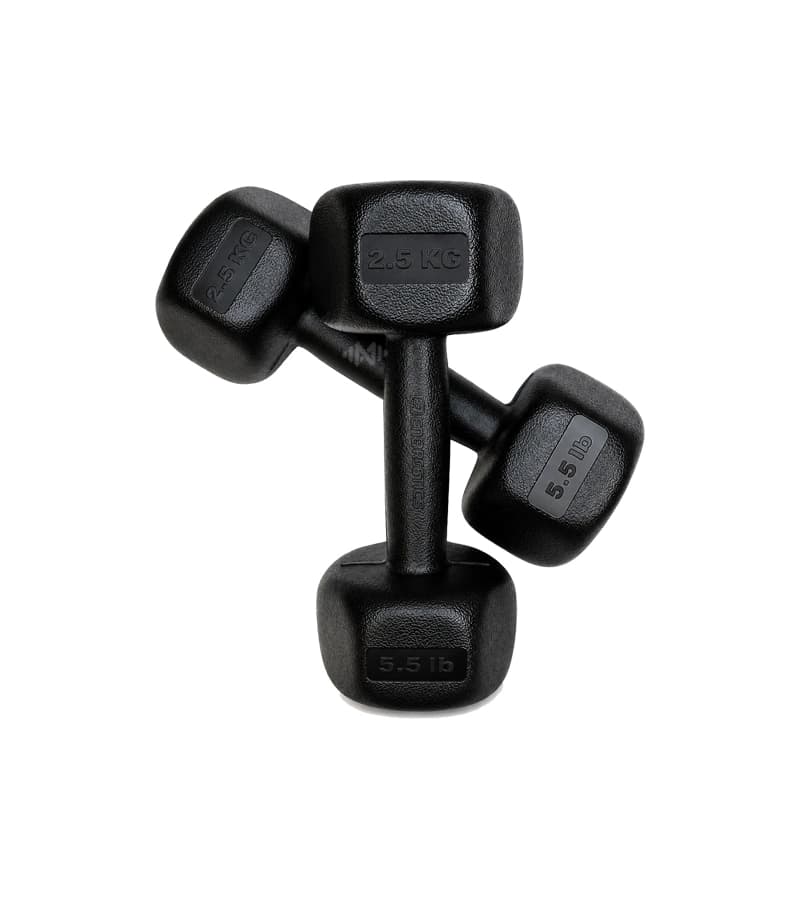 دمبل رادیس فیت Radis Fit وزن 10 کیلو گرم بسته 2 عددی