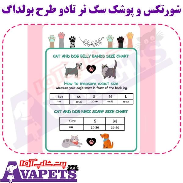 شورتکس و پوشک سگ نر تادو طرح بولداگ — تصویر ۳