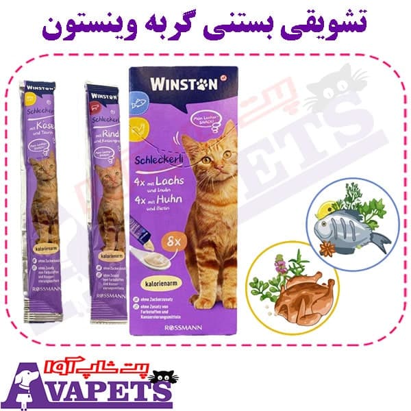 تشویقی بستنی گربه وینستون
