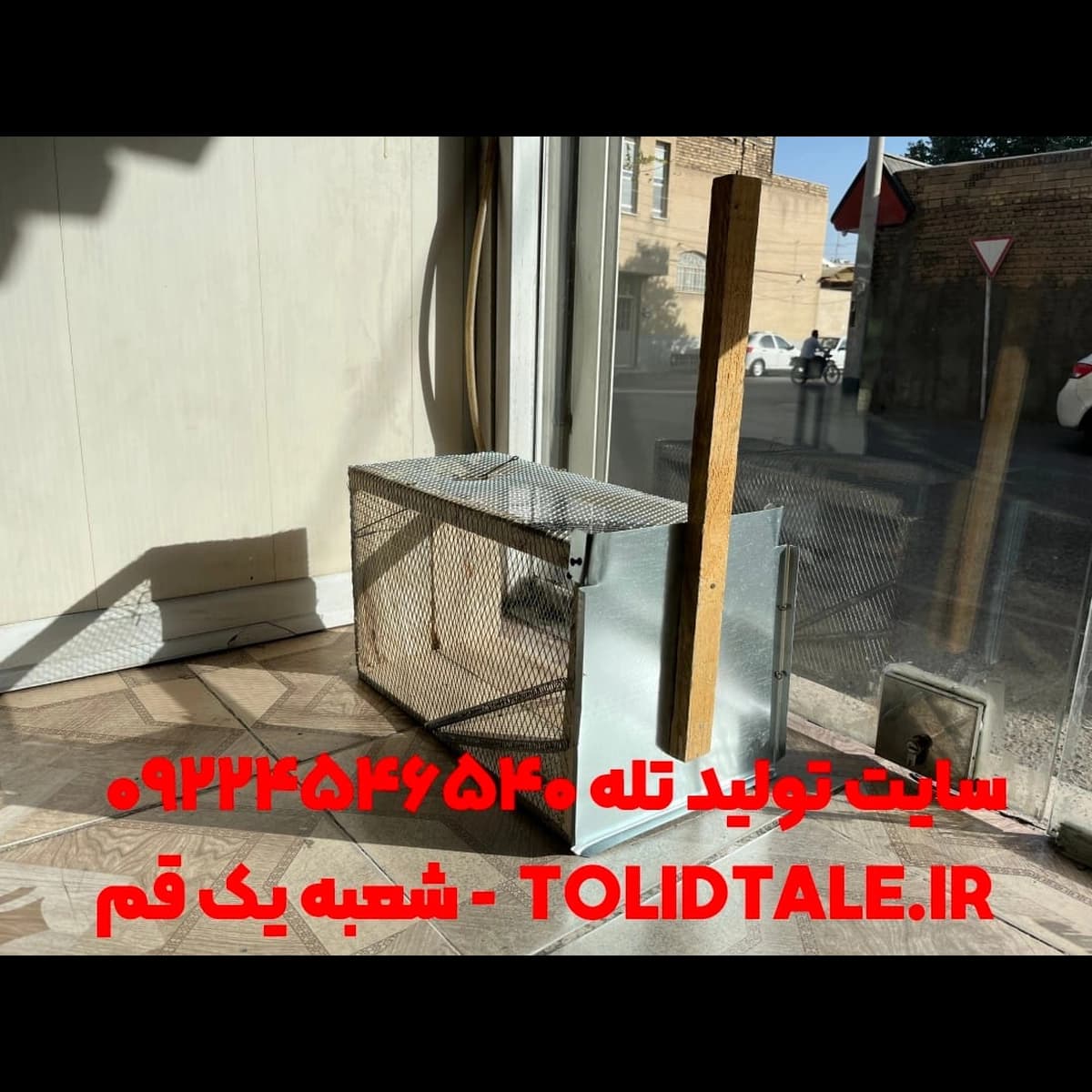 تله گربه ۶ فنره بزرگ تمام فلزی (زنده‌گیر قوی) — تصویر ۹