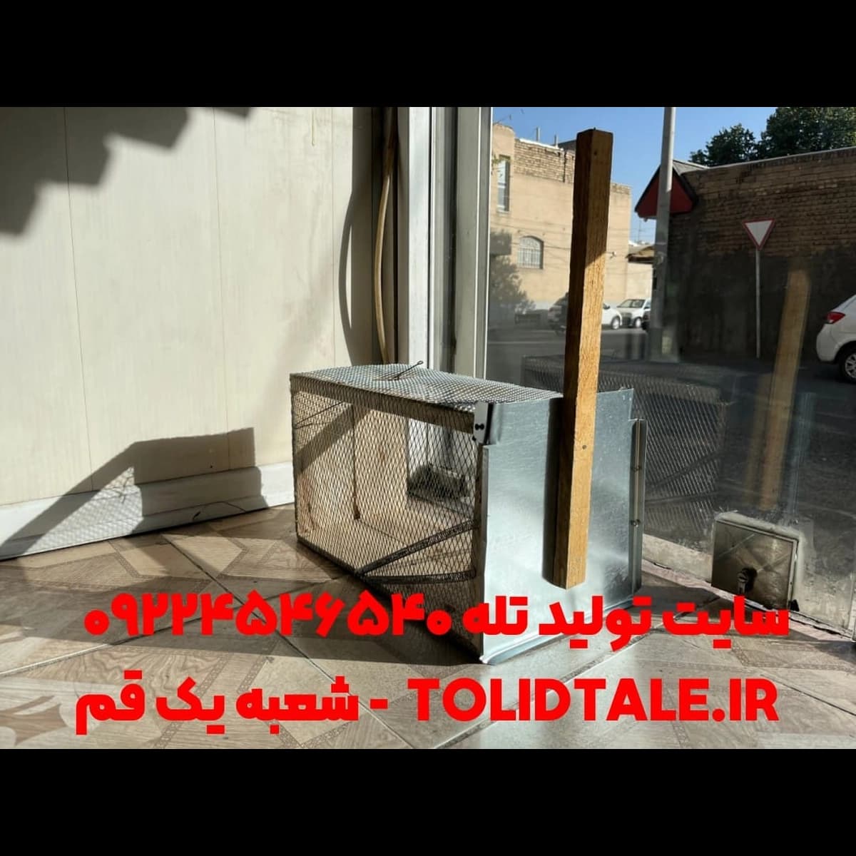 تله گربه ۶ فنره بزرگ تمام فلزی (زنده‌گیر قوی) — تصویر ۸
