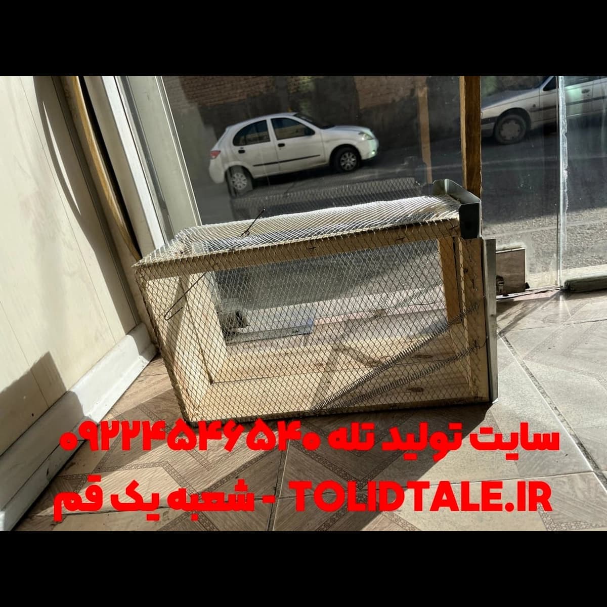 تله گربه ۶ فنره بزرگ تمام فلزی (زنده‌گیر قوی) — تصویر ۵