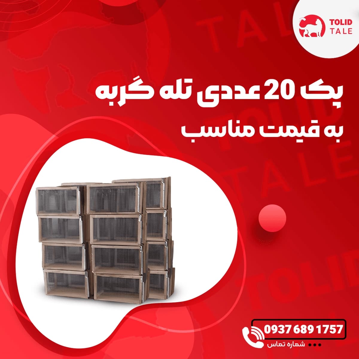 پک 20 عددی تله گربه ۴ فنره بزرگ تمام فلزی (زنده‌گیر قوی) — تصویر ۸