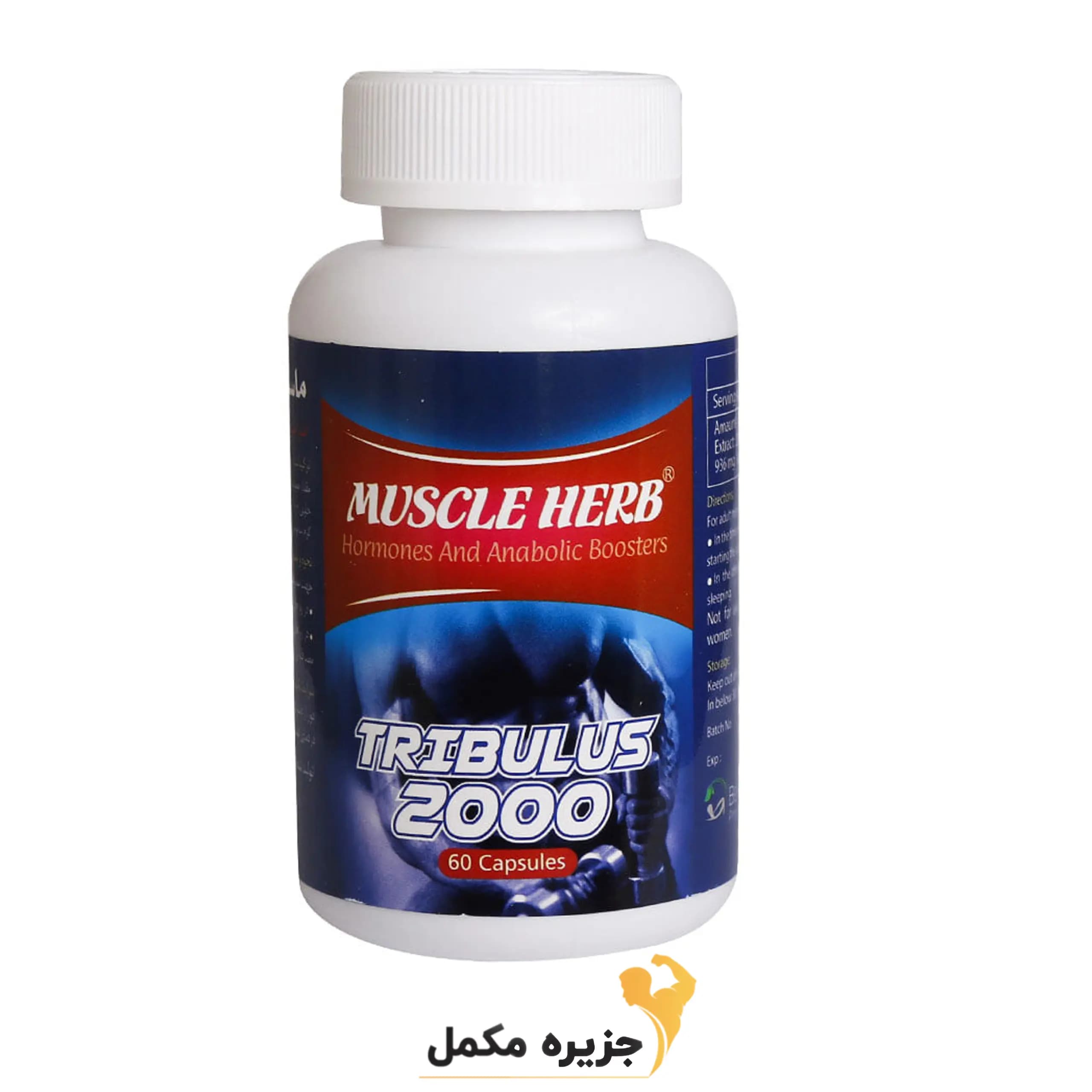 تریبولوس ماسل هرب 60 عدد | TRIBULUS MUSCLE HERB