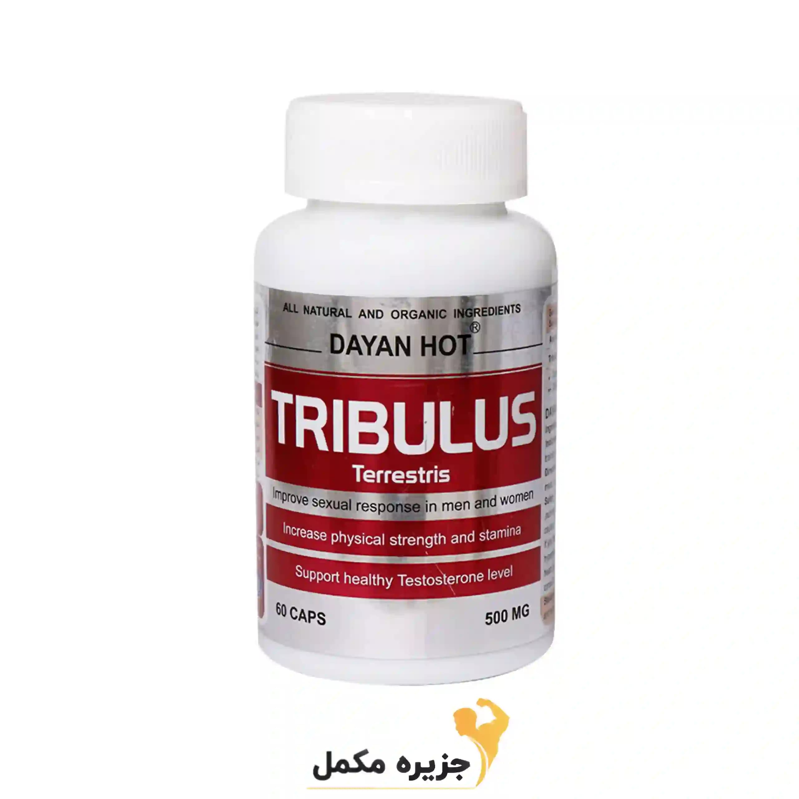 تریبولوس دایان‌ هات دایان فارما 60 عدد | TRIBULUS DAYAN HOT