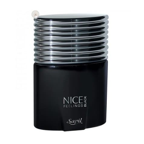 ادکلن نایس مشکی Nice Feelings Black ساپیل حجم 100 — تصویر ۴