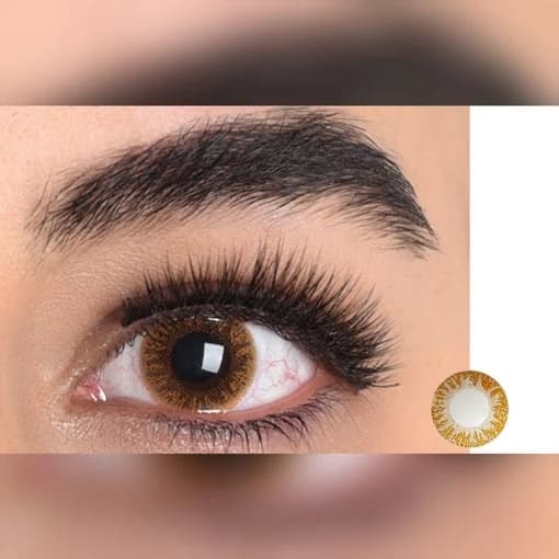 لنز عسلی مارشال براون تن 1 | Marshall Brown Honey Lens (Tone 1) — تصویر ۳