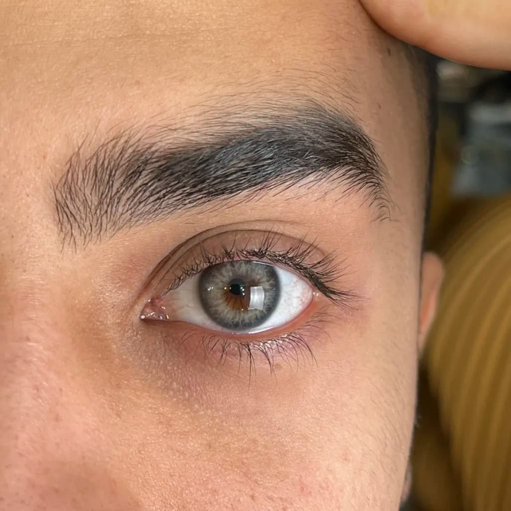 لنز کاتیا وگاس پرل آبی طوسی | Katia Vegas Pearl Blue-Grey Lens — تصویر ۲