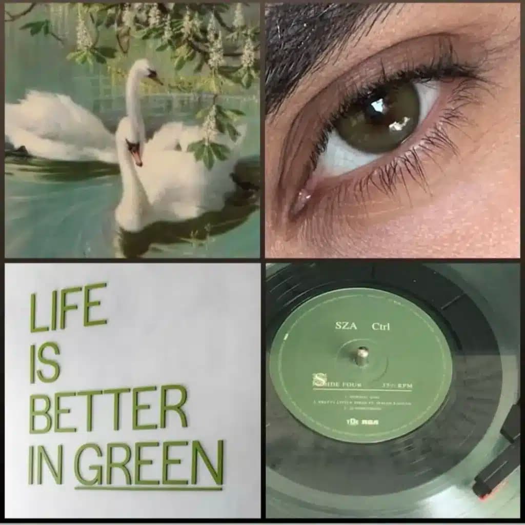 لنز مارلی آنجل گرین سبز تیره دور محو | marley-angel-green-lens — تصویر ۱۱
