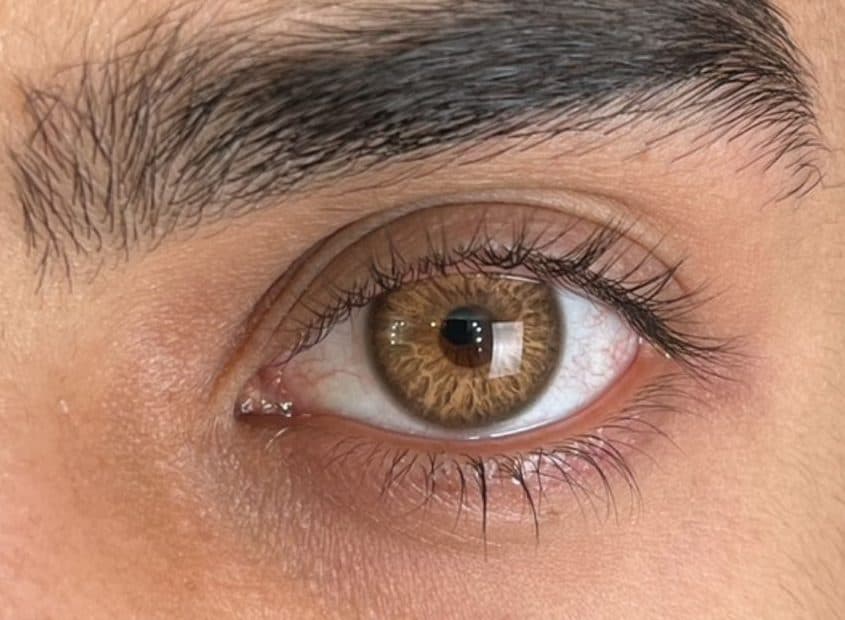 لنز کاتیا وگاس لایت براون عسلی قهوه ای | Katia Vegas Light Brown