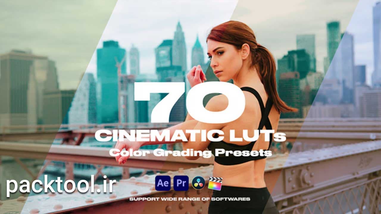 دانلود پروژه آماده پریست رنگی داوینچی ریزالو Cinematic LUTs — تصویر ۲