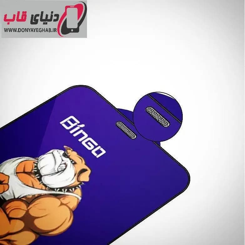 گلس و محافظ صفحه نمایش اپل آیفون iPhone 12 Mini — تصویر ۲