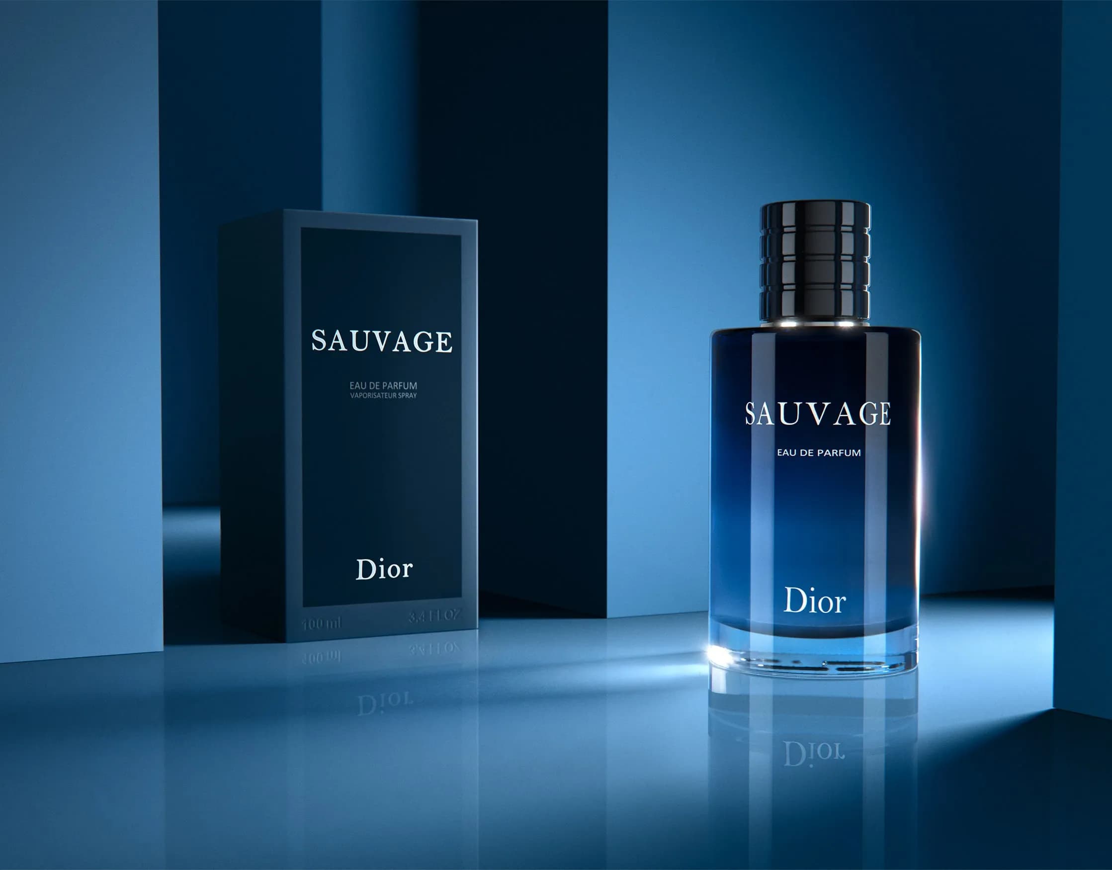 عطر مردانه دیور ساواج | Dior Savage perfume — تصویر ۶