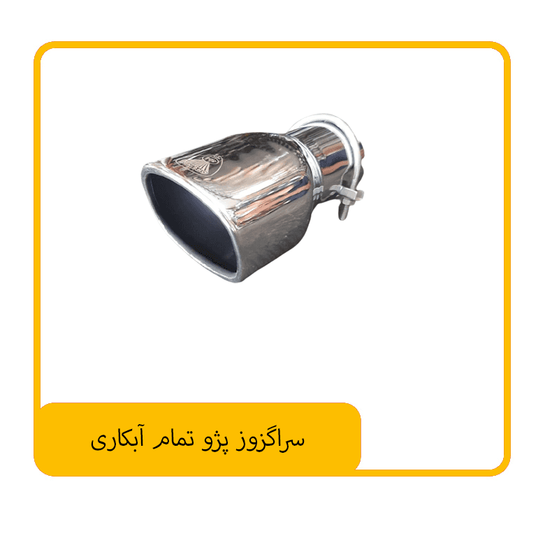 سراگزوز پژو تمام آبکاری — تصویر ۲