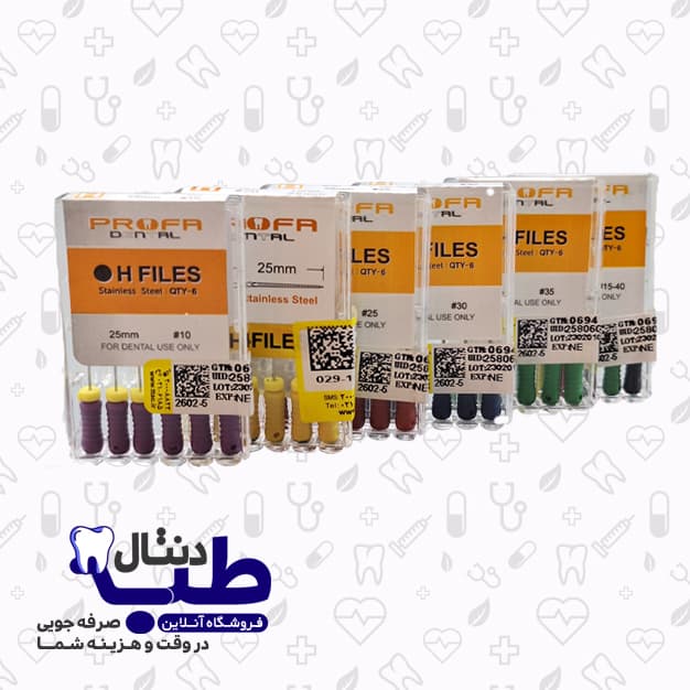 اچ فایل پروفا – H Files Profa — تصویر ۳