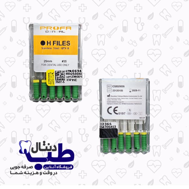 اچ فایل پروفا – H Files Profa — تصویر ۲