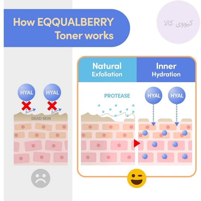 تونر اکوال بری Eqqualberry مدل swimming pool آبرسان و تسکین دهنده — تصویر ۶