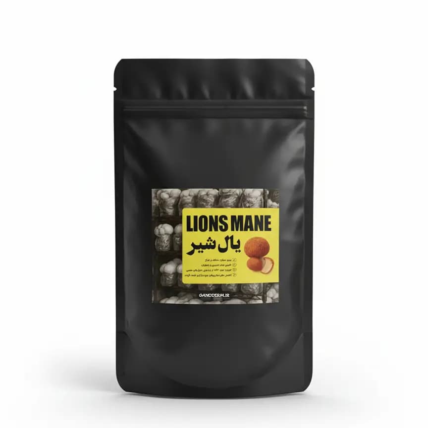 قارچ یال شیر (هریسیوم) | قارچ لاینزمین (Lion’s mane) — تصویر ۲