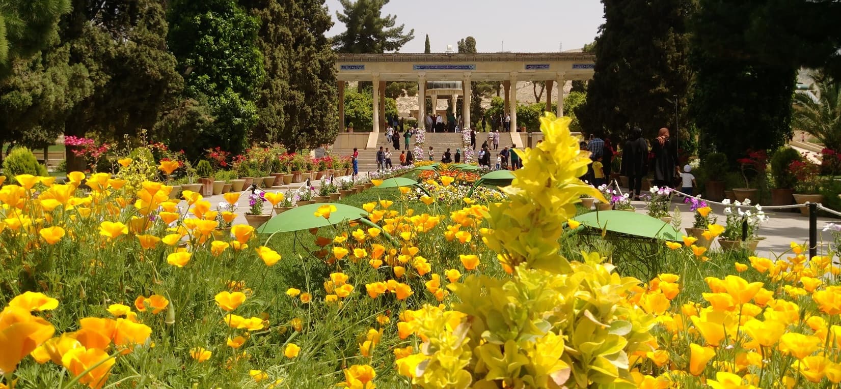 تور شیرازگردی — تصویر ۲