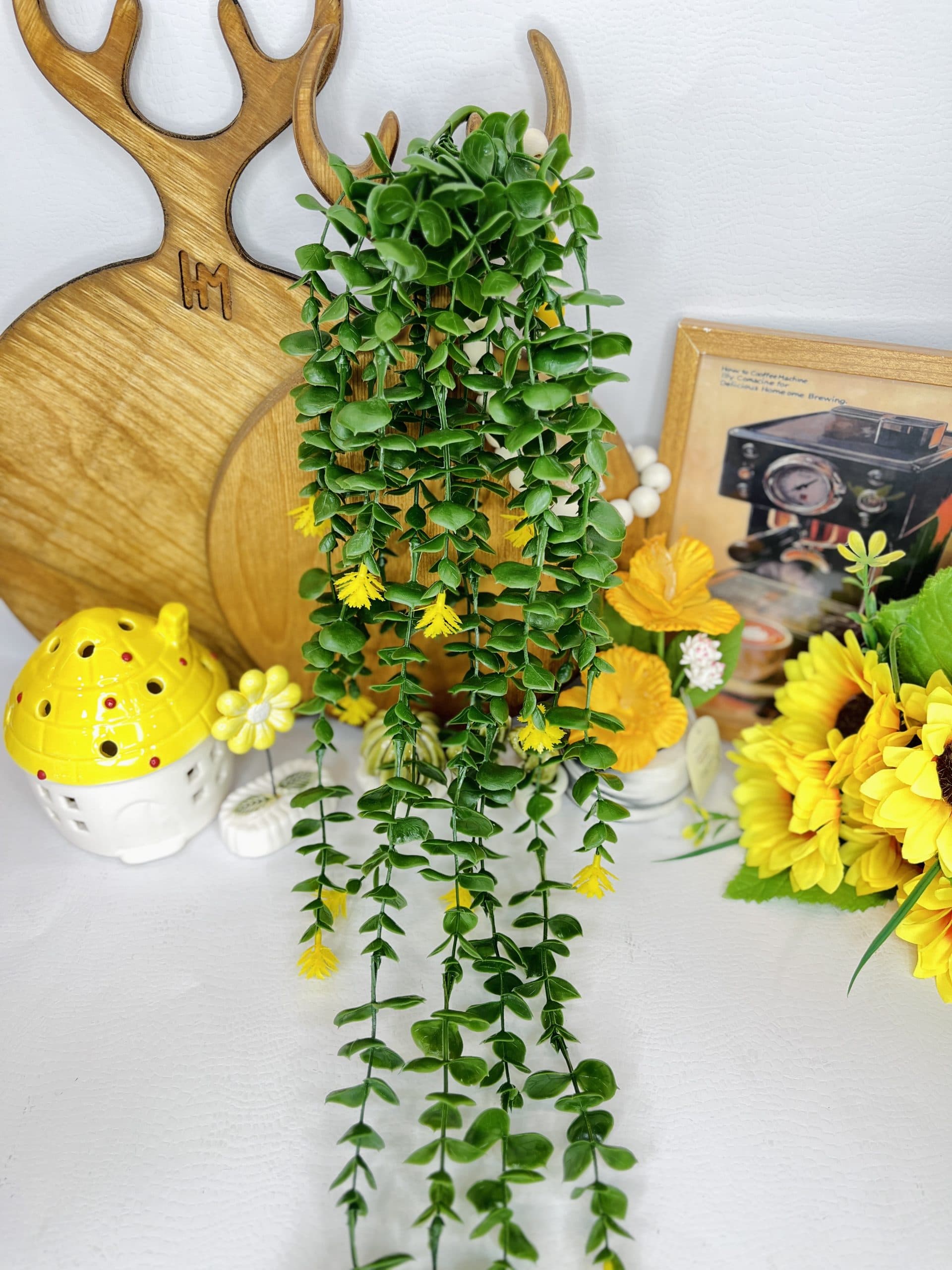 شمشاد گلدار زرد | دکوری زیبا برای آشپزخانه و چیدمان منزل — تصویر ۵