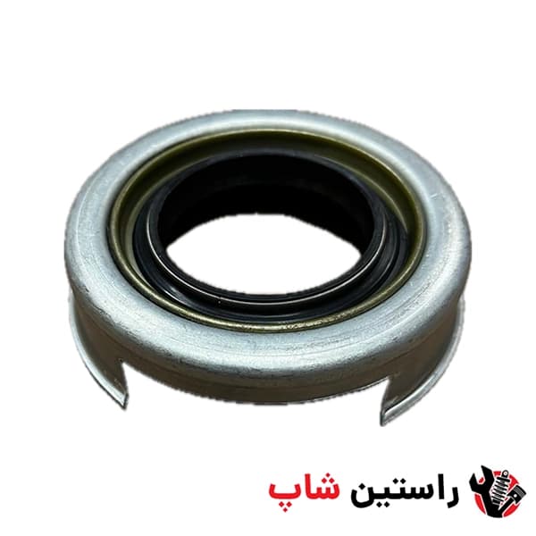 کاسه نمد سگدست رونیز — تصویر ۳