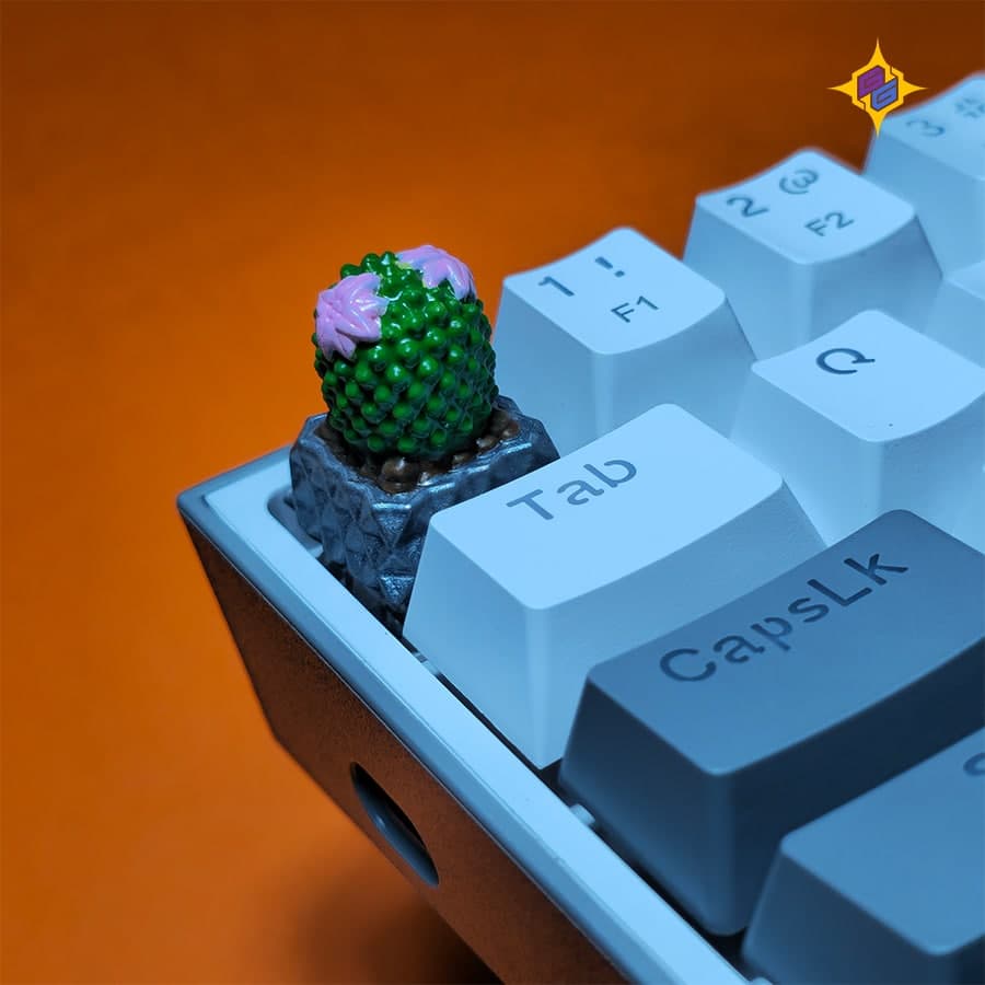 کیکپ کیبورد مکانیکال طرح کاکتوس اسکوباریا ویوی‌پارا Cactos Keycap