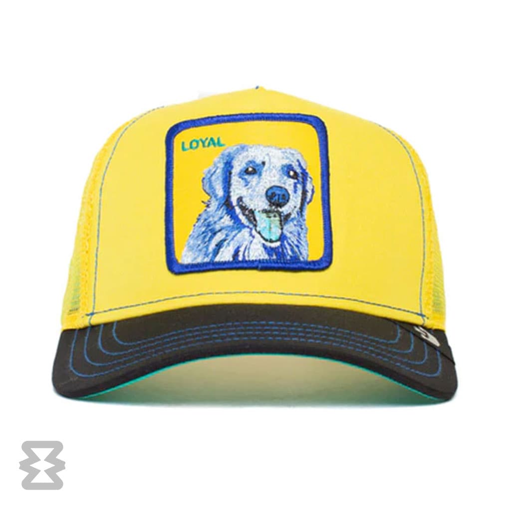 کلاه گورین مدل Doggy Trip — تصویر ۲