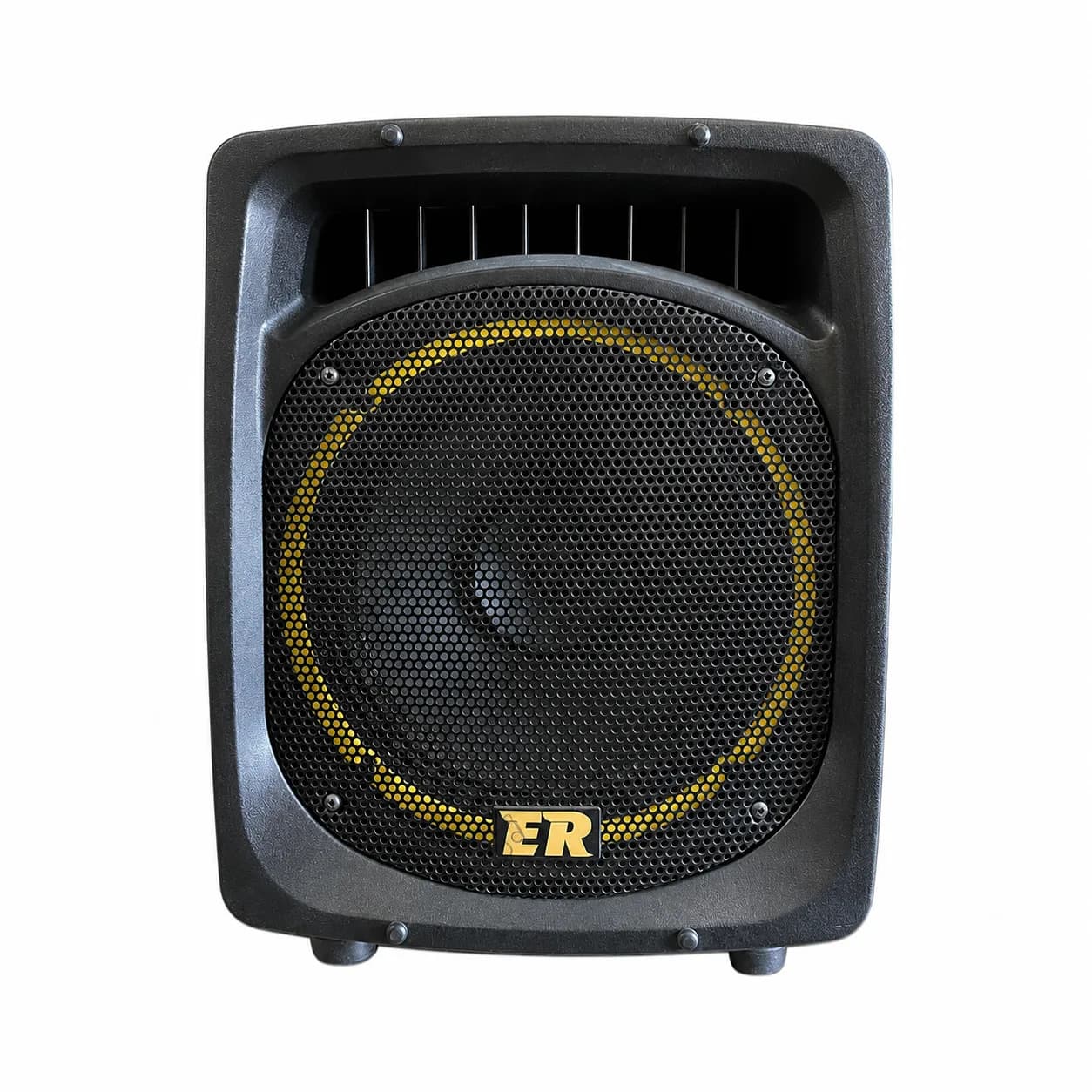 اکو همراه شارژی روژان RJ-200