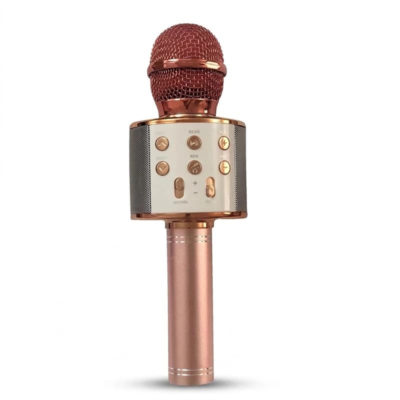 میکروفون اسپیکر مدل WS-858 کدm23705
