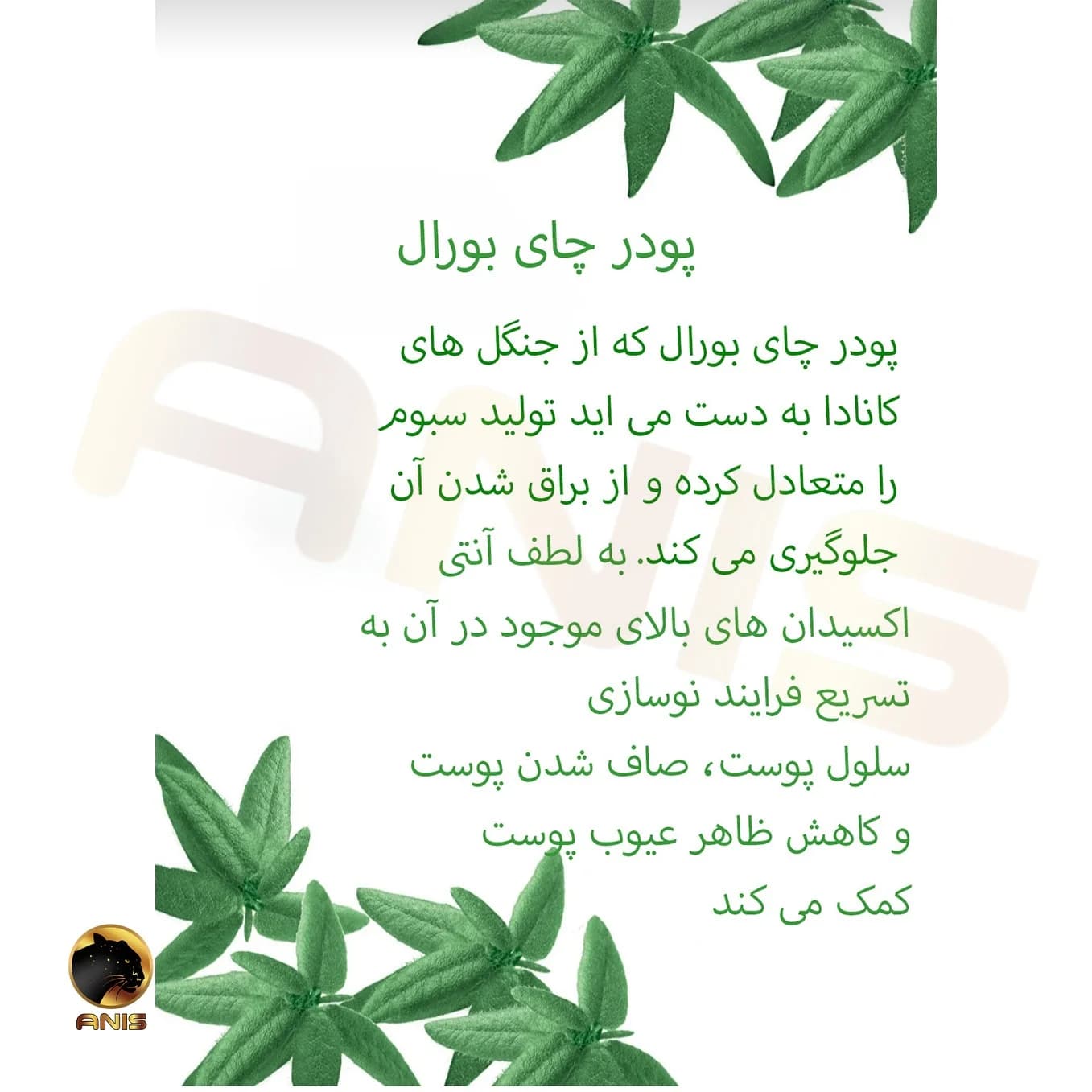 سرم متعادل کننده چربی ایوروشه sebo pure vegetal حجم 30 میل — تصویر ۵