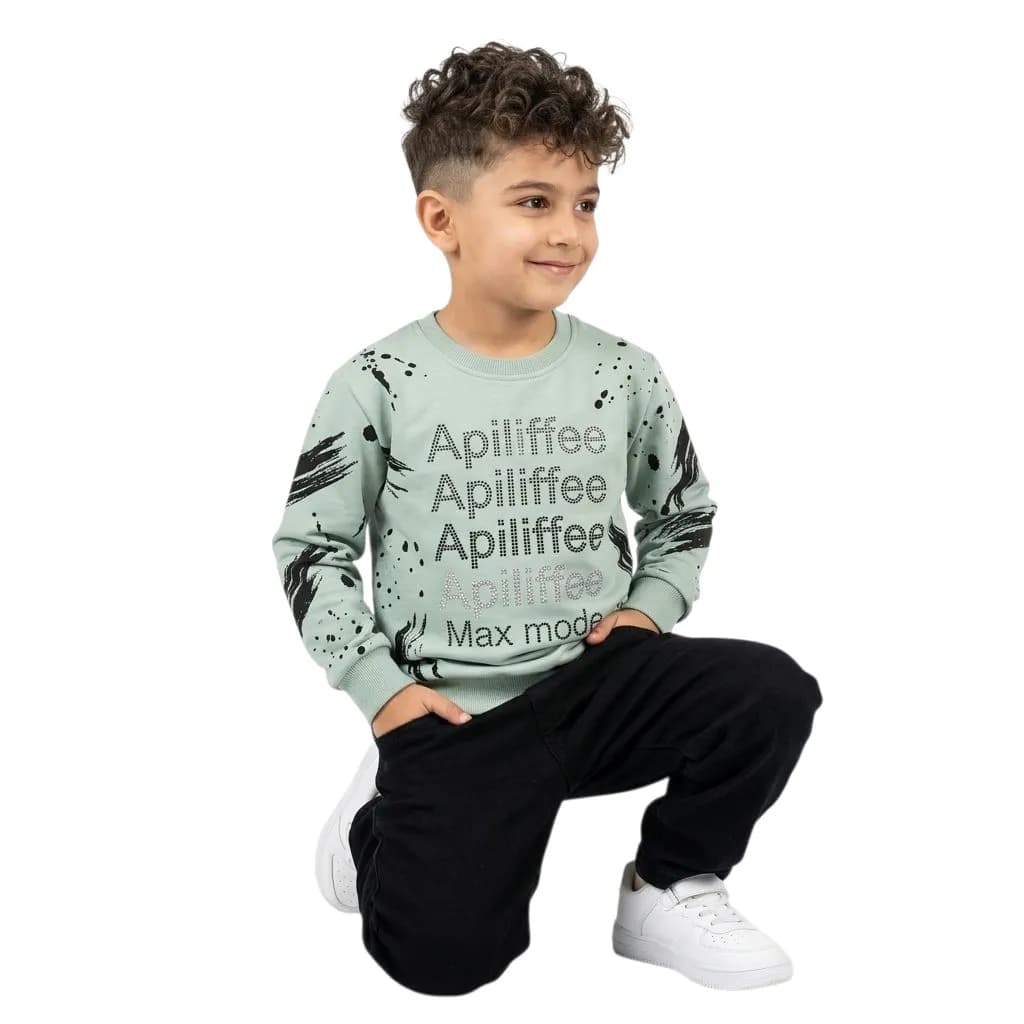 بلوز پسرانه Apiliffee — تصویر ۶