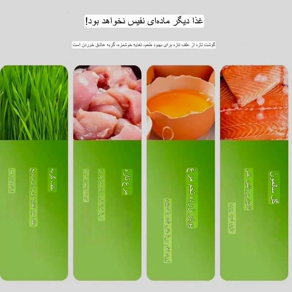تشویقی اسنک کت گرس فریزدراید گربه | تشویقی کت گرس طعم مرغ ۶ عددی مخصوص دفع گلوله مو — تصویر ۲